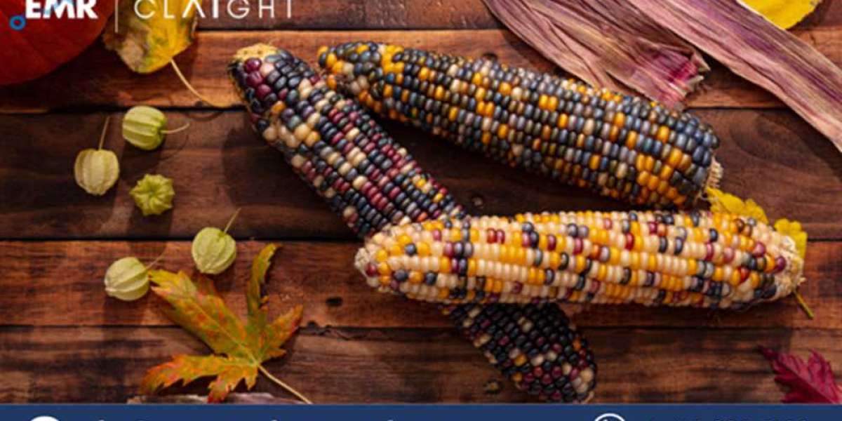 Native Corn Price Trend Report: An In-Depth Analysis of Market Dynamics and Forecast